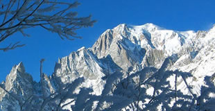 Les sentiers enchanteurs du Val Ferret vous proposent tout ce que la montagne peut vous offrir